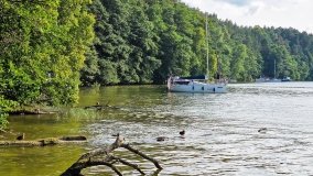 Miejscówki na j. Bełdany - wschodni brzeg - zdjęcie 38