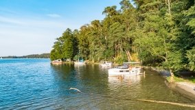 Miejscówki na j. Bełdany - wschodni brzeg - zdjęcie 15