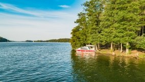 Miejscówki na j. Bełdany - wschodni brzeg - zdjęcie 10