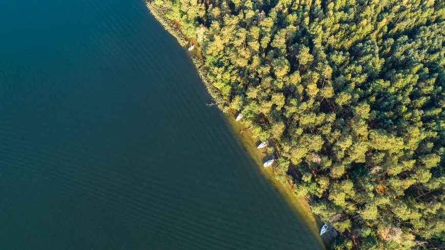 Miejscówki na j. Bełdany - wschodni brzeg - zdjęcie 1