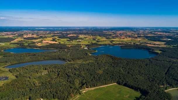 Dgał wielki - zdjęcie 4