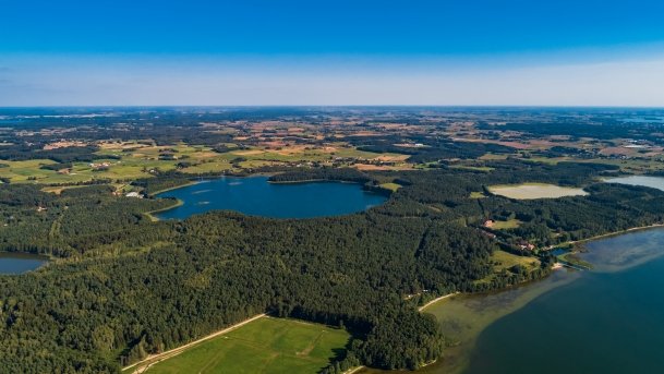 Dgał wielki - zdjęcie 3