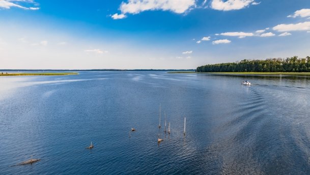 Dargin - zdjęcie 130