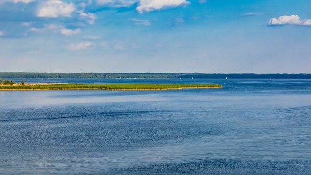 Dargin - zdjęcie 126