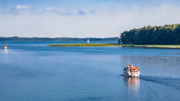 Dargin - zdjęcie 124