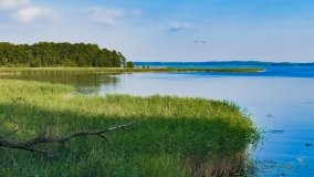 jezioro Dargin - zdjęcie 149