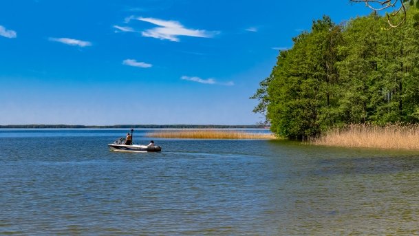 Dargin - zdjęcie 121