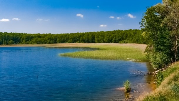 Dargin - zdjęcie 118