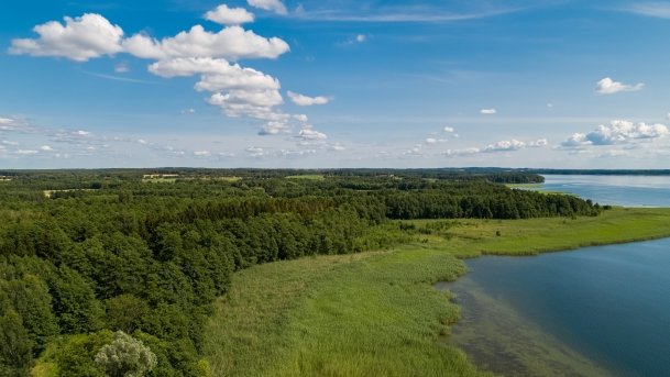 Dargin - zdjęcie 11