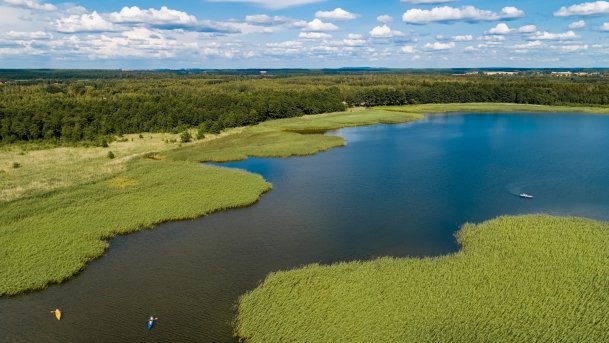 Dargin - zdjęcie 10