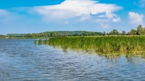 jezioro Szymon - zdjęcie 46