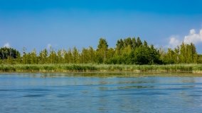 jezioro Kotek Wielki - zdjęcie 29