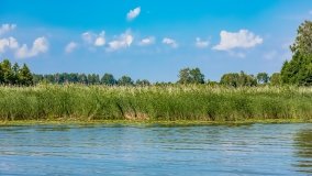 jezioro Kotek Wielki - zdjęcie 26