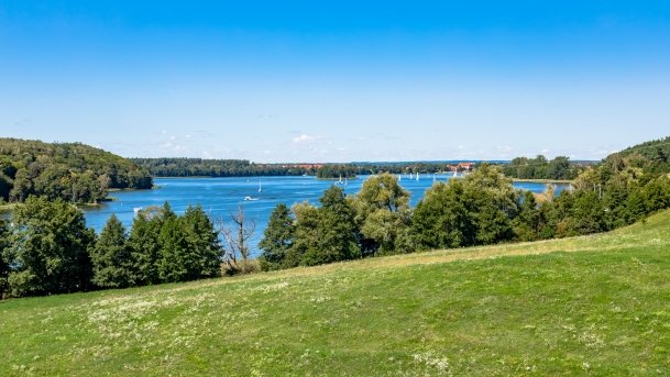 Tałty - zdjęcie 98