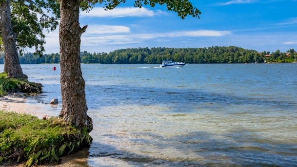 Tałty - zdjęcie 88