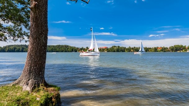 Tałty - zdjęcie 81