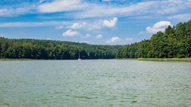 Ryńskie - zdjęcie 72