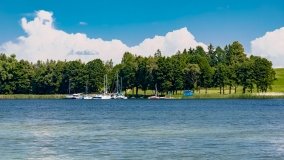 Trygort - zdjęcie 4