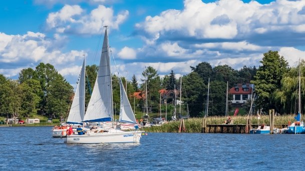 Wierzba - zdjęcie 20