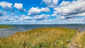 jezioro Śniardwy - zdjęcie 124