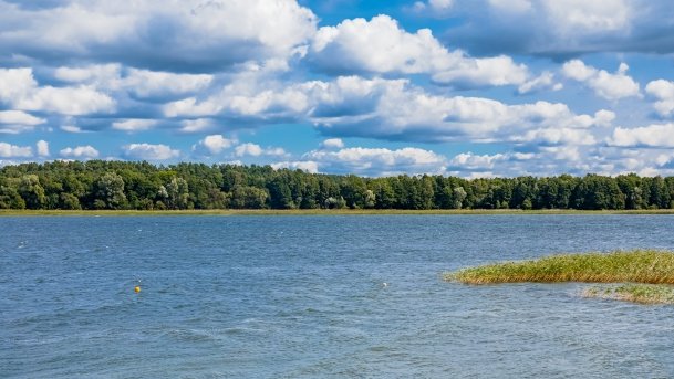 Śniardwy - zdjęcie 100