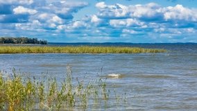 jezioro Śniardwy - zdjęcie 121