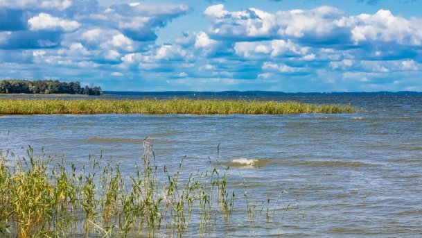 Śniardwy - zdjęcie 98