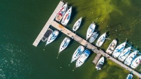 Port Tło Dla Mew - zdjęcie 9