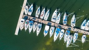 Port Tło Dla Mew - zdjęcie 8