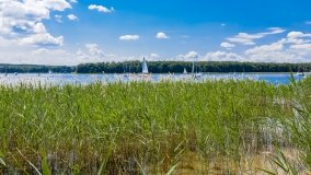 jezioro Kisajno - zdjęcie 213