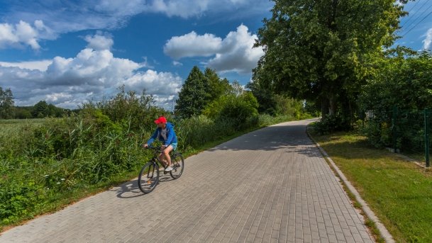 Stręgiel - zdjęcie 16