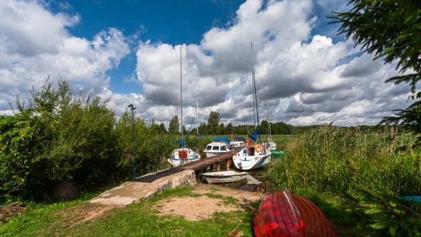 Stręgiel - zdjęcie 25