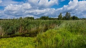 jezioro Stręgiel - zdjęcie 24