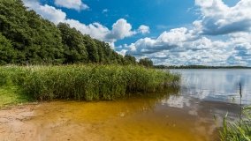 jezioro Stręgiel - zdjęcie 23