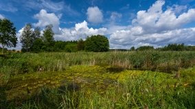 jezioro Stręgiel - zdjęcie 19