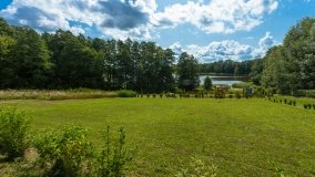 Stręgiel - zdjęcie 14