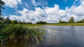 jezioro Stręgiel - zdjęcie 17