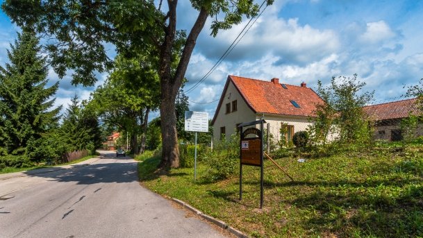 Stręgiel - zdjęcie 13