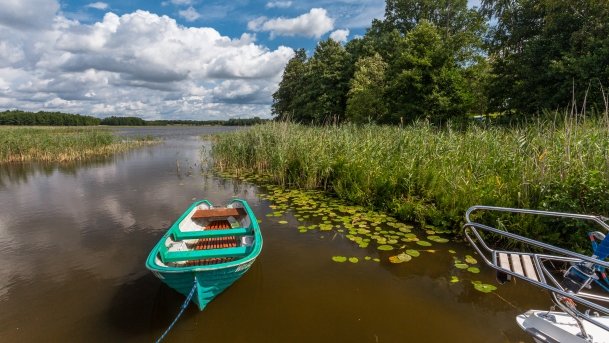 Stręgiel - zdjęcie 14