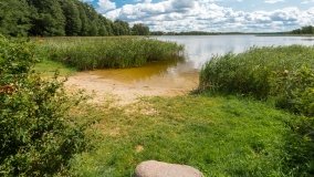 jezioro Stręgiel - zdjęcie 13