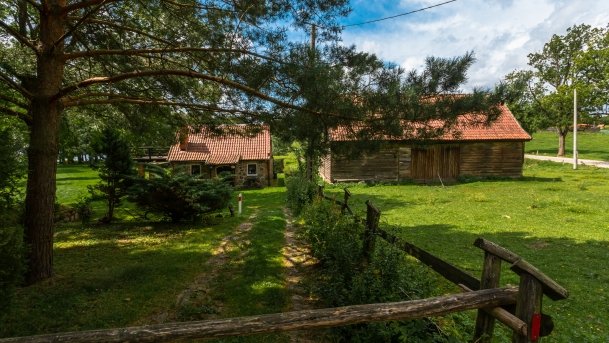 Stręgiel - zdjęcie 11