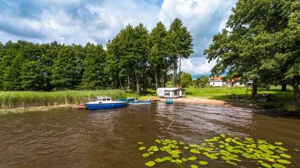 Stręgiel - zdjęcie 12