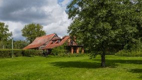 Stręgiel - zdjęcie 8