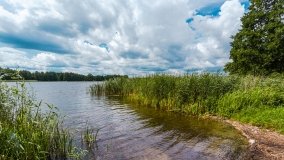 jezioro Stręgiel - zdjęcie 11