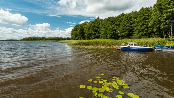 Stręgiel - zdjęcie 10