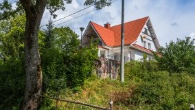 Stręgiel - zdjęcie 6