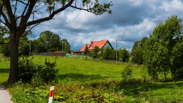 Stręgiel - zdjęcie 5