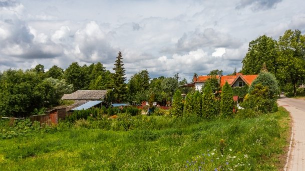 Stręgiel - zdjęcie 4