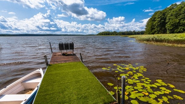 Stręgiel - zdjęcie 7