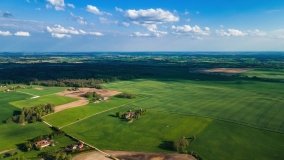 jezioro Gołdopiwo - zdjęcie 7